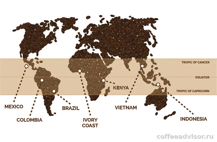 Кофе по странам: чем обычно отличаются Бразилия, Эфиопия, Колумбия и Кения