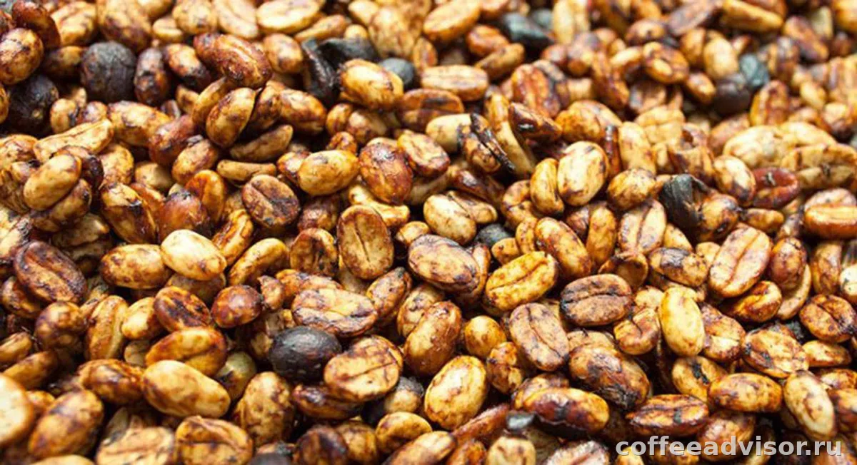 Мытая, натуральная и honey-обработка кофе: как обработка меняет вкус в чашке