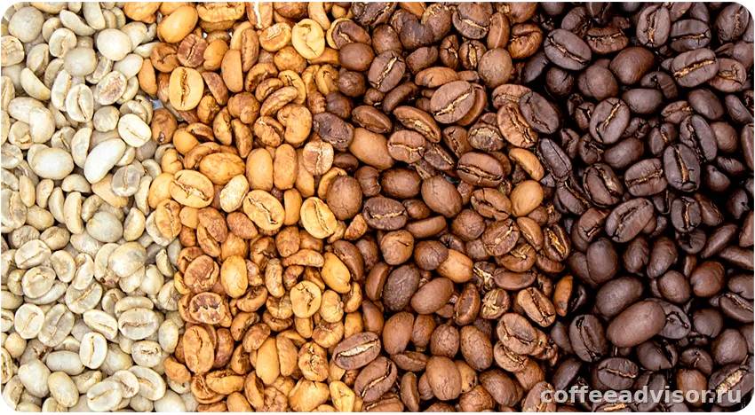 Светлая, средняя и темная обжарка кофе: в чем разница и как меняется вкус